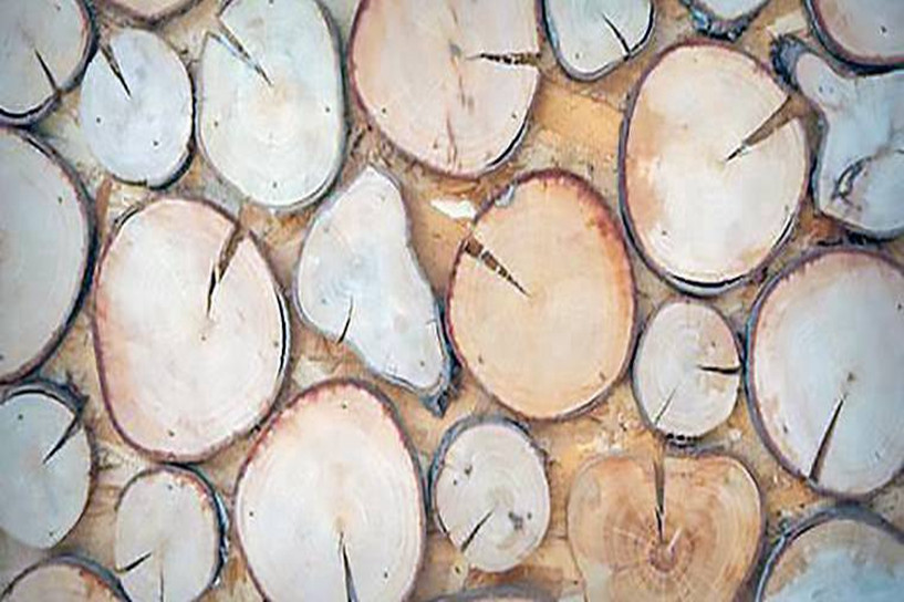 成人高考医学综合前三篇知识点总结