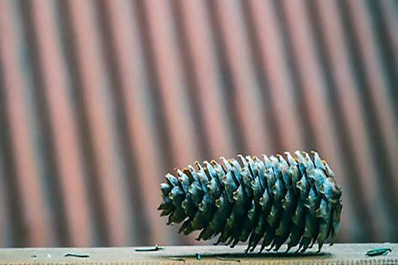 自考英语二万能模板