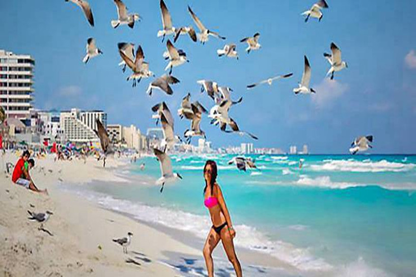 成考专升本英语作文押题及话题预测