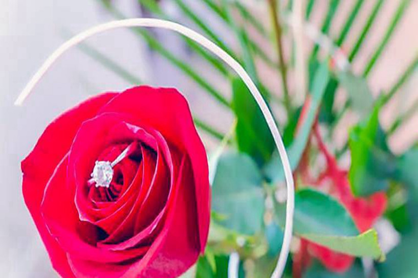 2021年成考专升本什么专业好就业