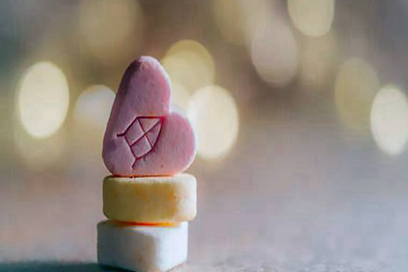 统招本科包括专升本么 有什么区别