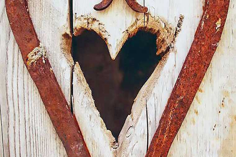 报名成人高考大专要啥条件