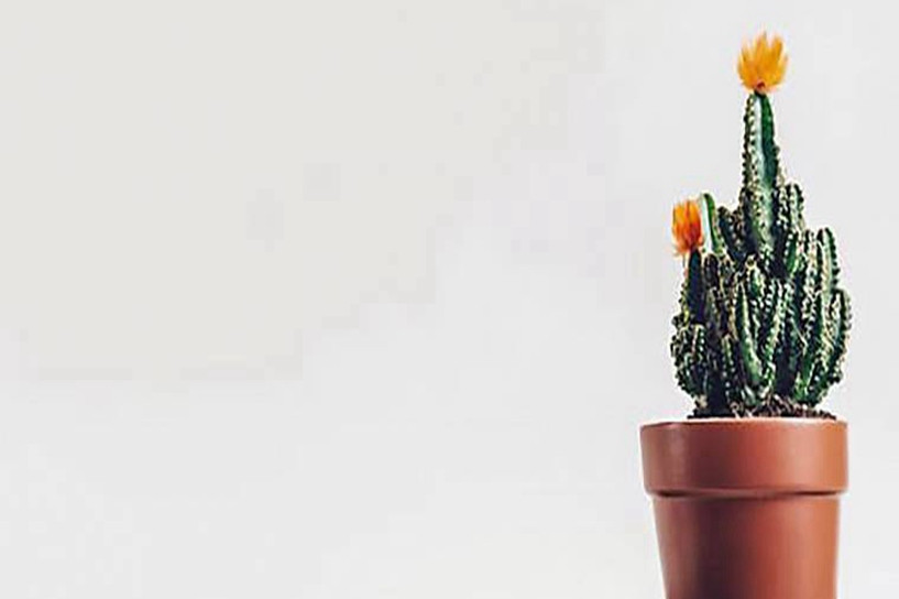 成人大学有什么报考要求 是否有年龄限制