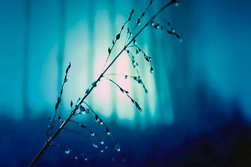 2021年自学考试时间安排表