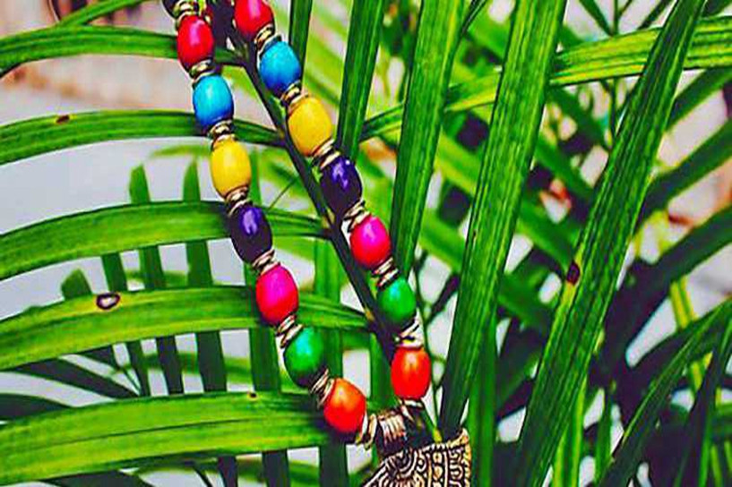 专升本排名怎么查询 具体流程及步骤