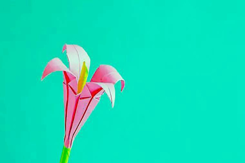 成考报名信息在哪里可以查询